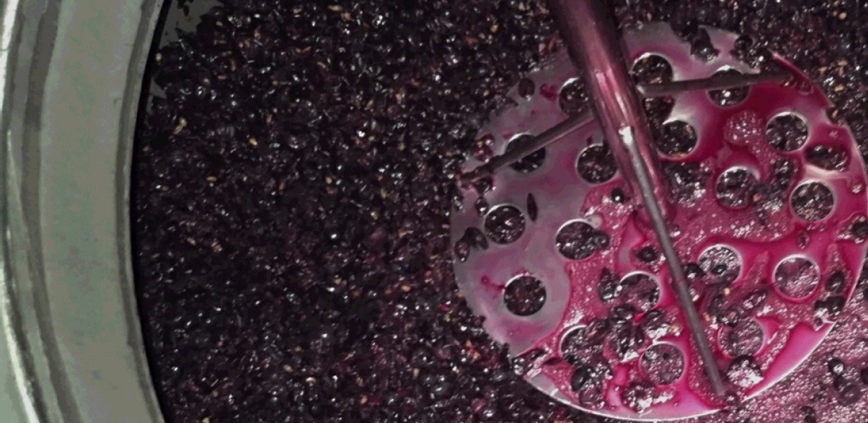 WINE MAKING